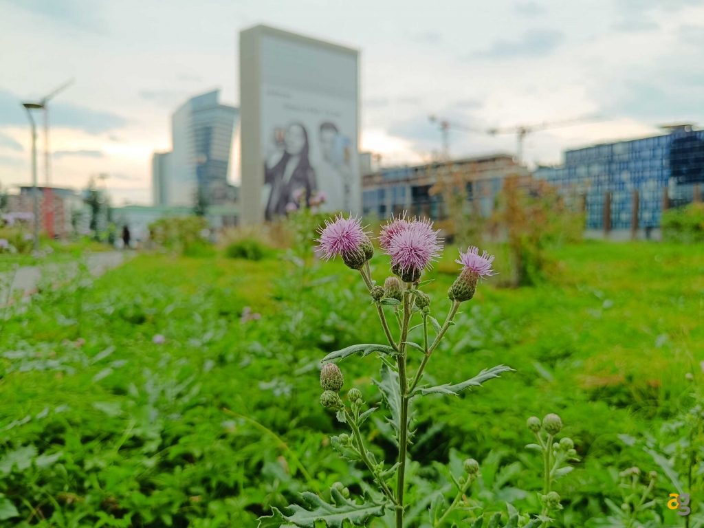 smartphone-entro-299-euro-confronto-realme-11pro-oppo-a98-honor-90-lite-redmi-note-12-pro-poco-x5-pro