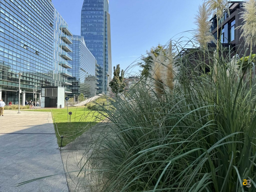 confronto-tra-tutti-iphone-15-quale-comprare