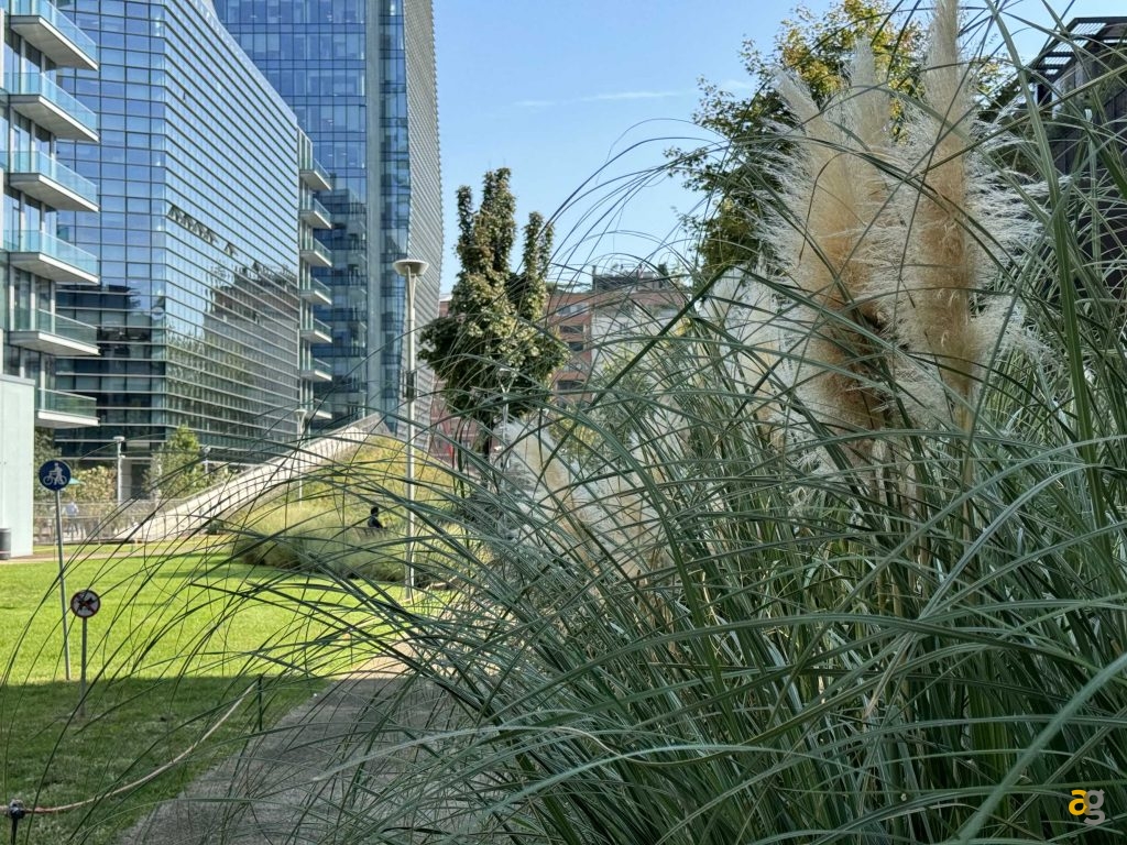 confronto-tra-tutti-iphone-15-quale-comprare