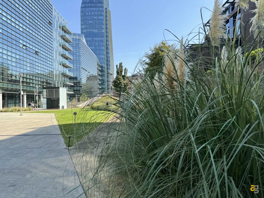 confronto-tra-tutti-iphone-15-quale-comprare