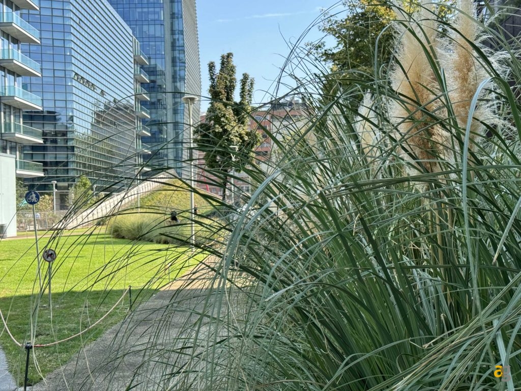 confronto-tra-tutti-iphone-15-quale-comprare