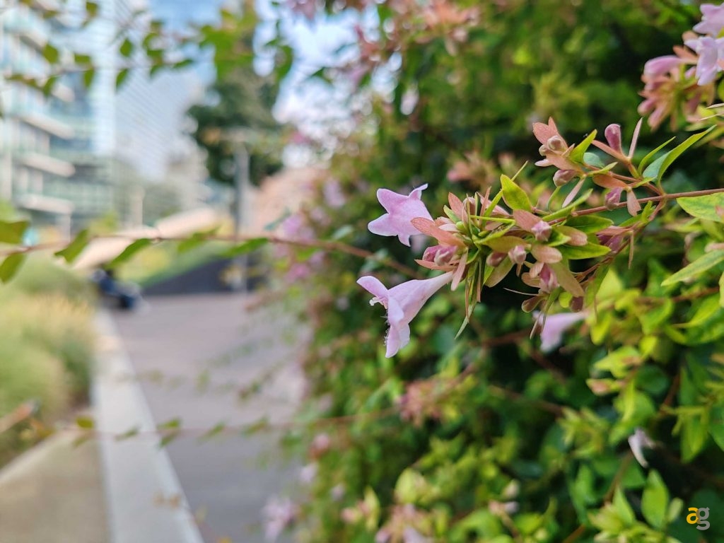 smartphone-piu-sensati-comprare-tra-350-450-euro