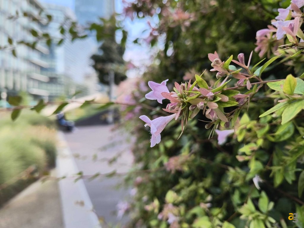 smartphone-piu-sensati-comprare-tra-350-450-euro