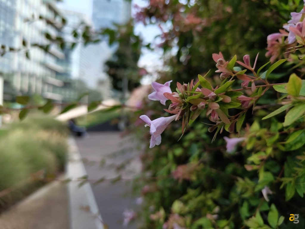 smartphone-piu-sensati-comprare-tra-350-450-euro