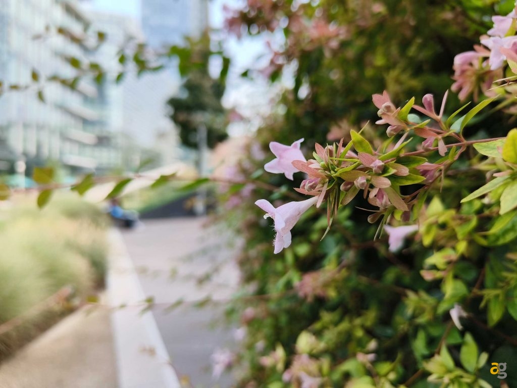 smartphone-piu-sensati-comprare-tra-350-450-euro