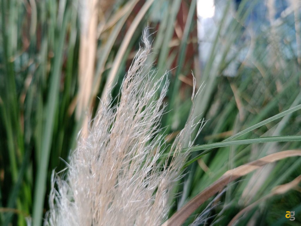 recensione-tcl-40-nxtpaper