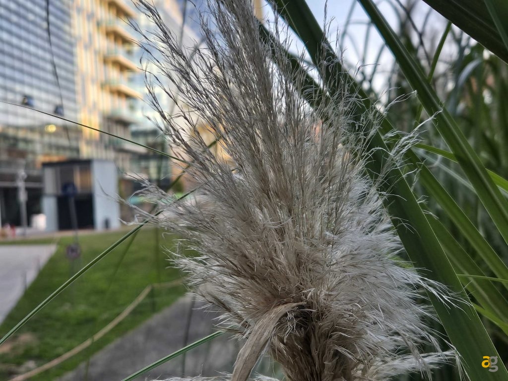 recensione-samsung-galaxy-s24