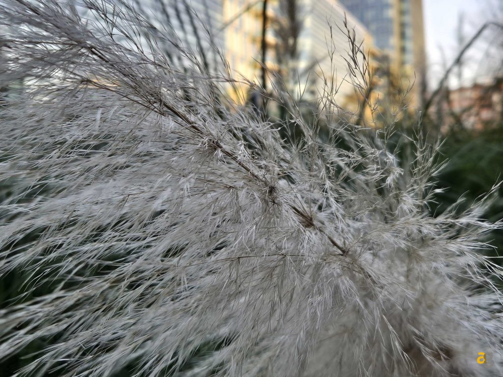 recensione-samsung-galaxy-s24