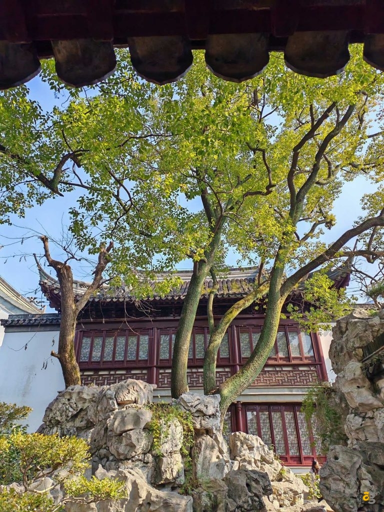 recensione-honor-magic-v2