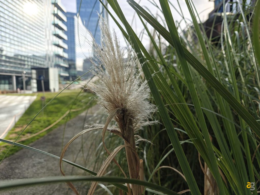 recensione-oneplus-12