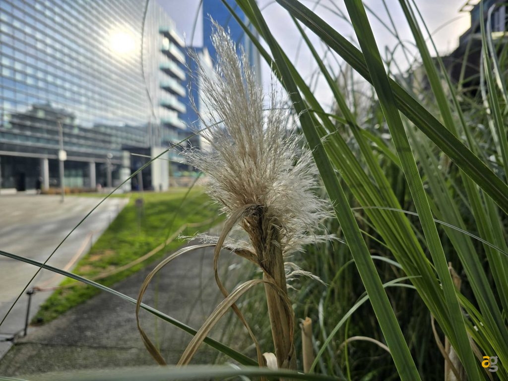 samsung-s24-ultra-confronto-iphone-15-pro-max