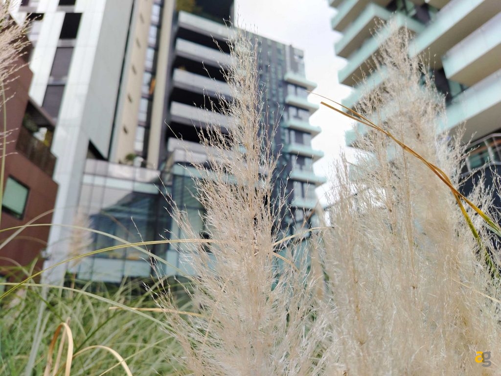 migliori-smartphone-meno-di-200e-realme-c67-galaxy-a15-redmi-note-13-honor-x8b