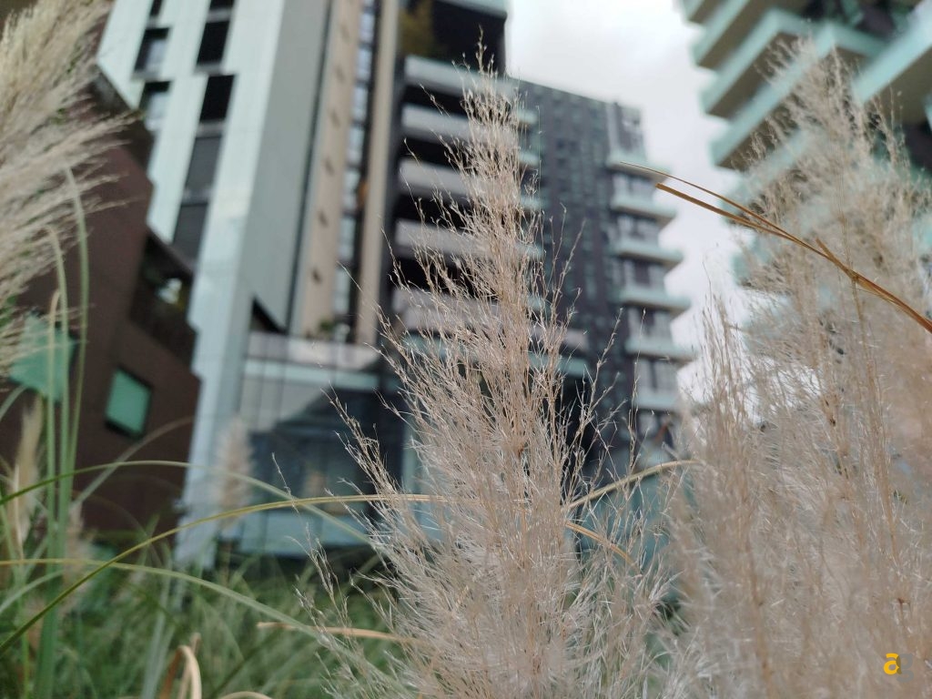 migliori-smartphone-meno-di-200e-realme-c67-galaxy-a15-redmi-note-13-honor-x8b