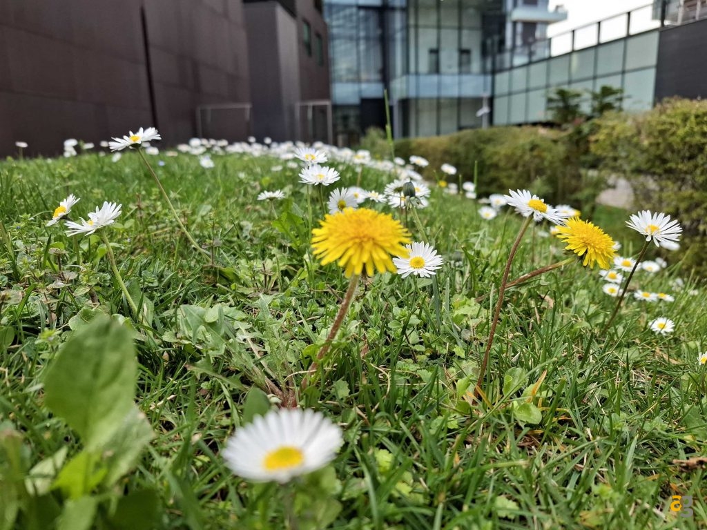 migliori-smartphone-tra-399-499-euro