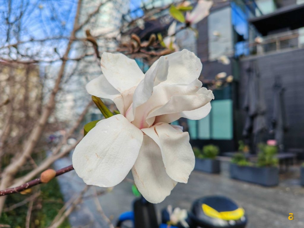 qual-fold-migliore-galaxy-fold-5-vs-honor-v2-vs-oneplus-open