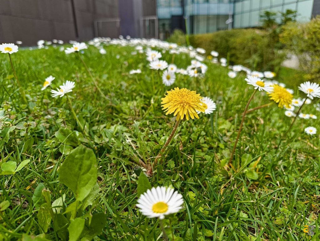 migliori-smartphone-tra-399-499-euro