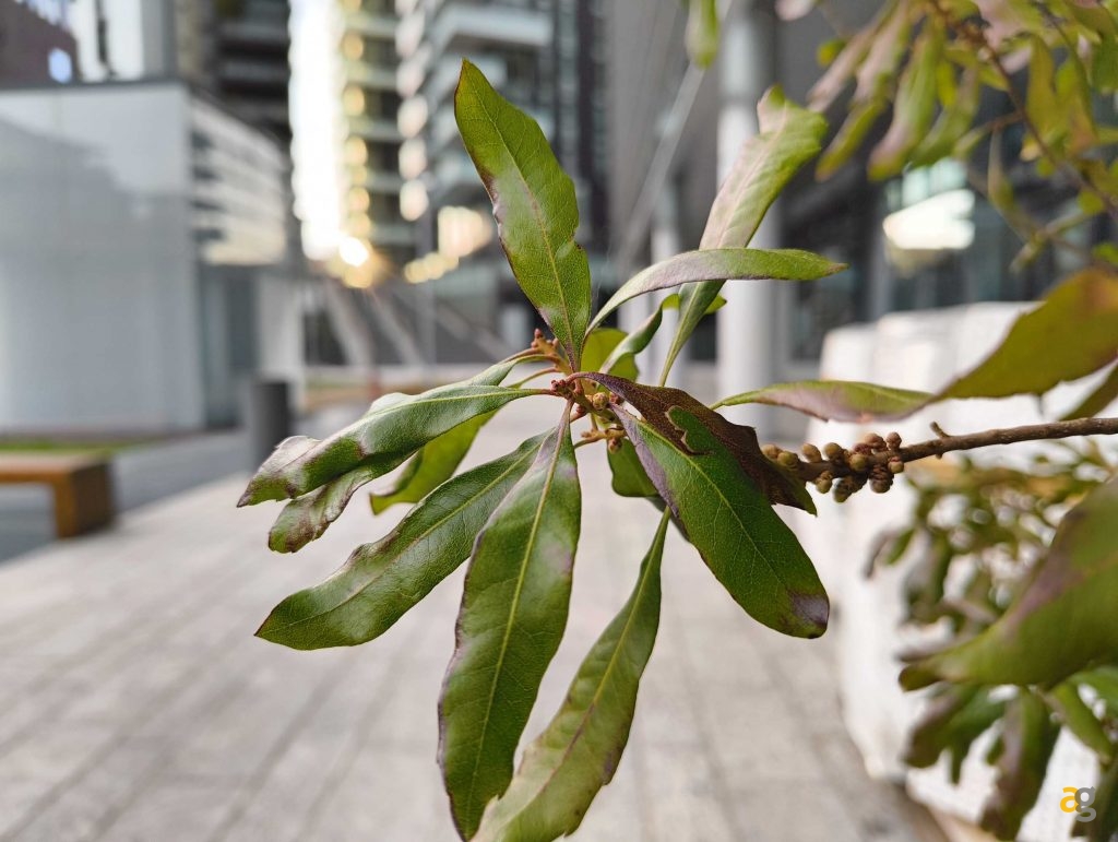 recensione-nothing-phone-2a