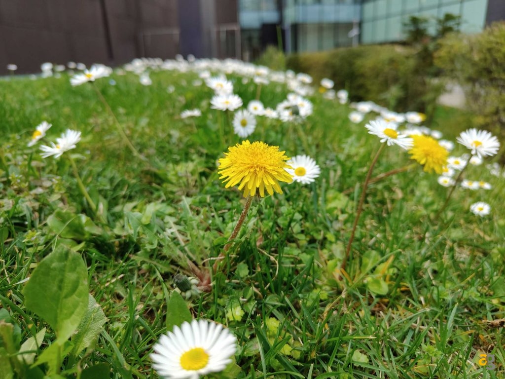 migliori-smartphone-tra-399-499-euro