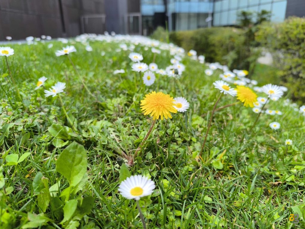 migliori-smartphone-tra-399-499-euro