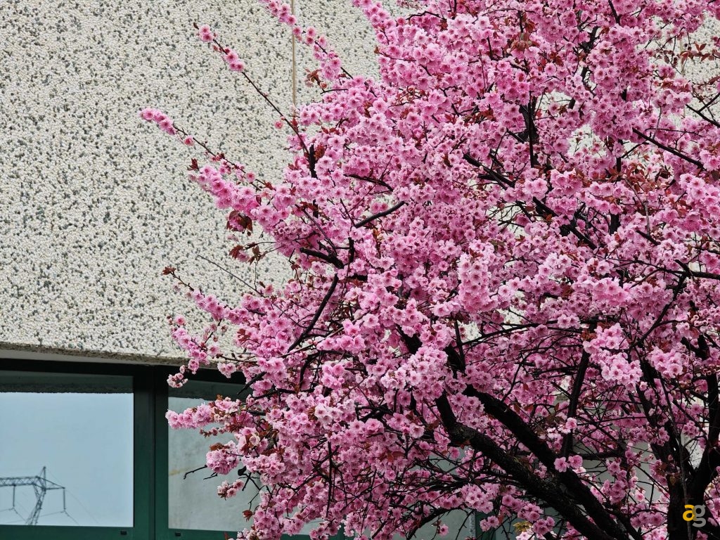 recensione-xiaomi-14-ultra