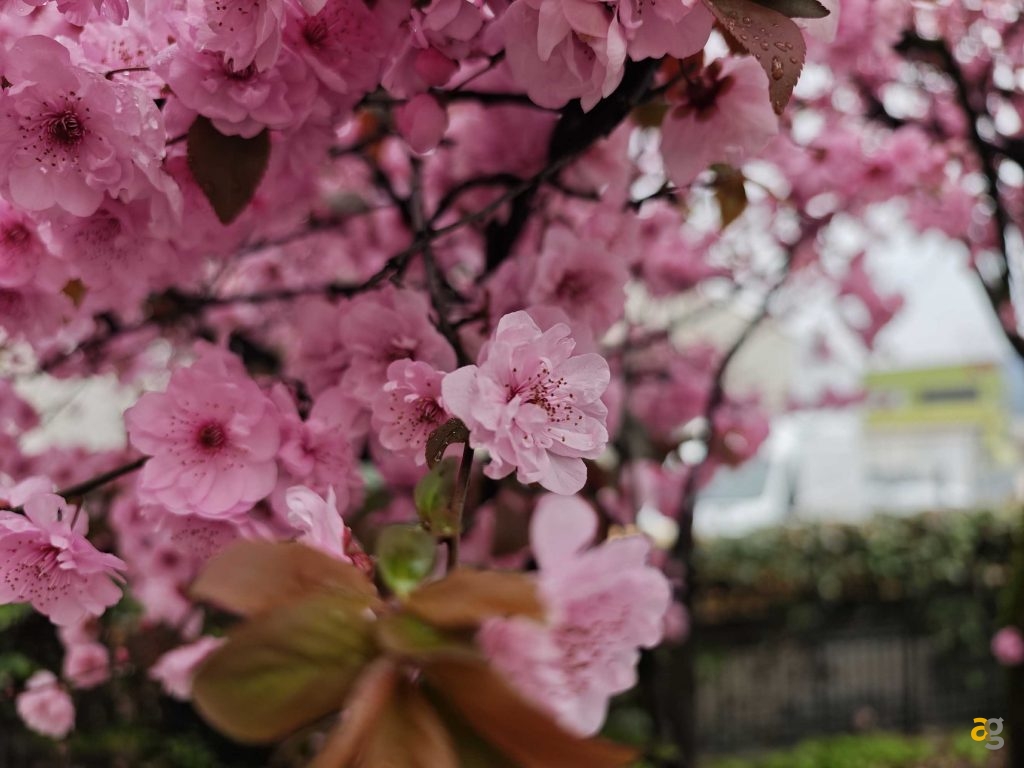 recensione-xiaomi-14-ultra