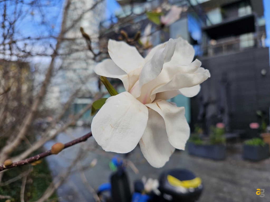 qual-fold-migliore-galaxy-fold-5-vs-honor-v2-vs-oneplus-open