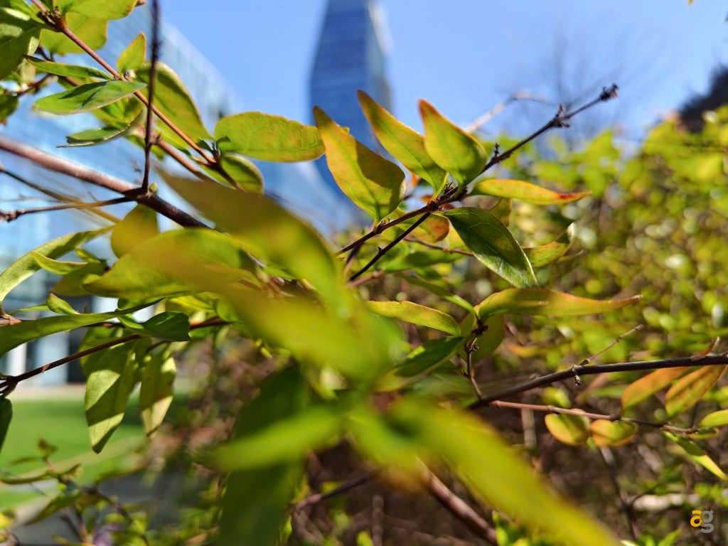 recensione-asus-zenfone-11-ultra