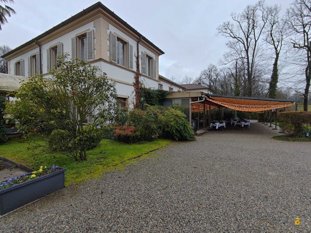 recensione-asus-zenfone-11-ultra