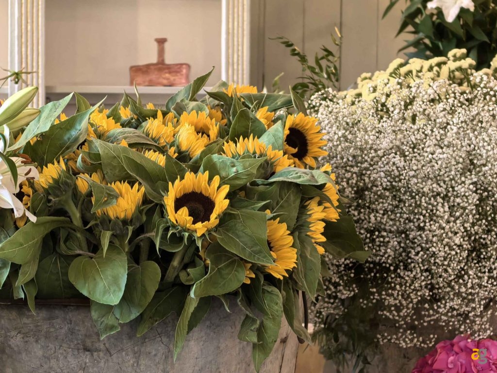 huawei-pura-70-ultra