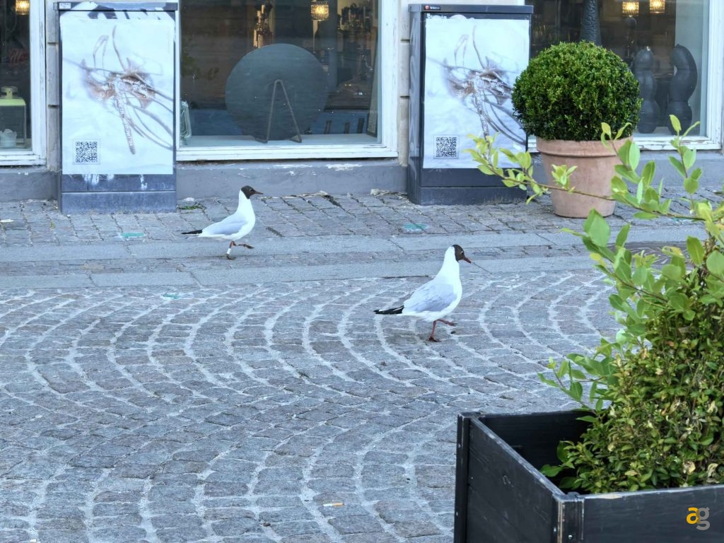 huawei-pura-70-ultra