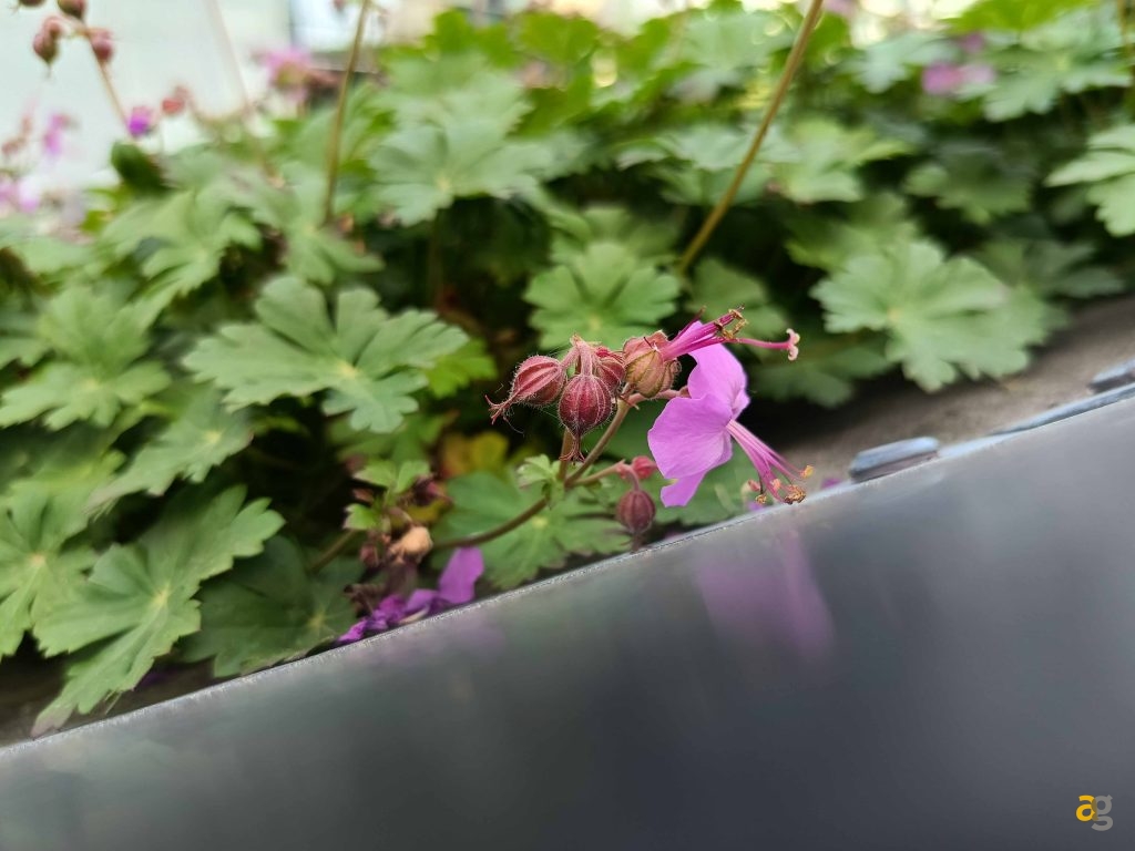 recensione-realme-12-2