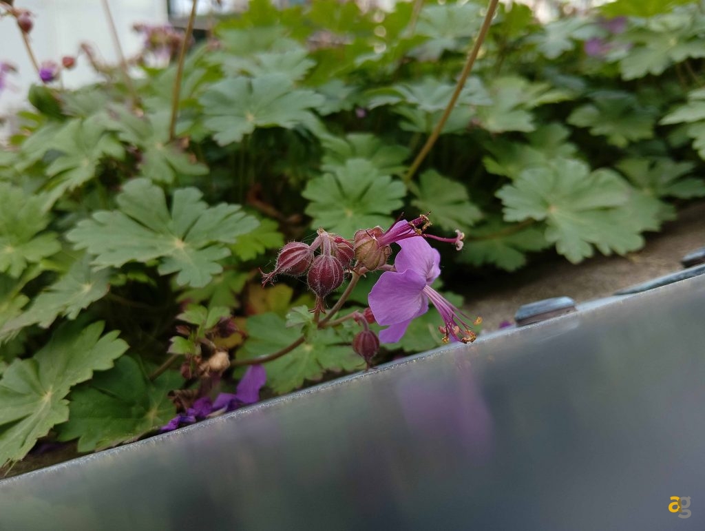 recensione-realme-12x