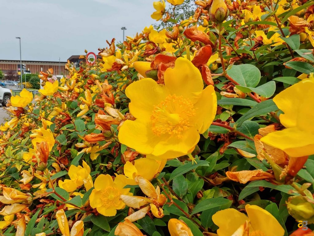 recensione-honor-200-pro