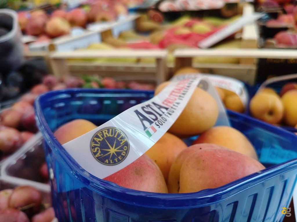 recensione-oppo-reno12-pro