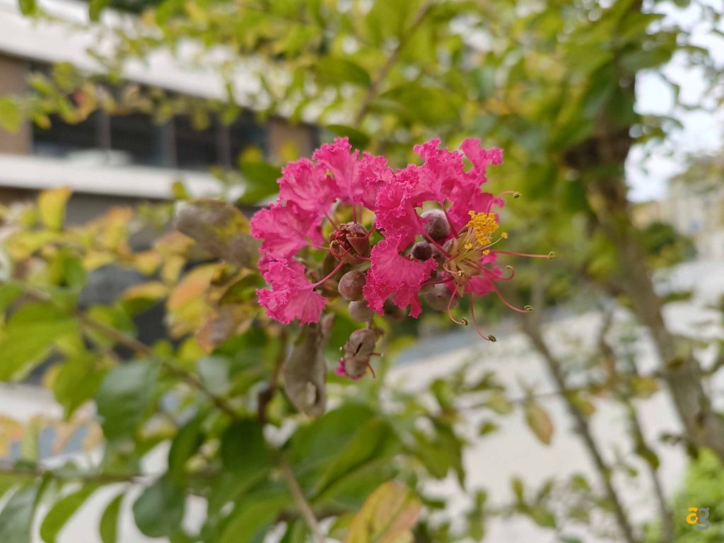 recensione-cmf-by-nothing-phone-1