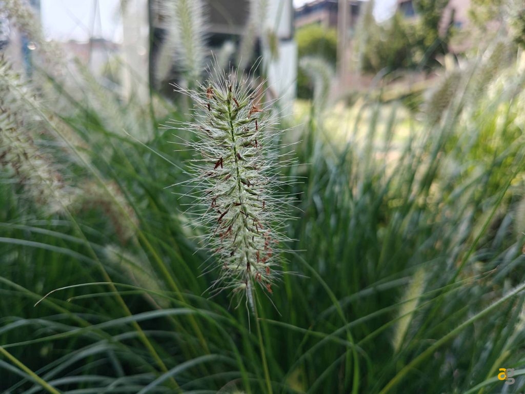 recensione-oneplus-nord-4