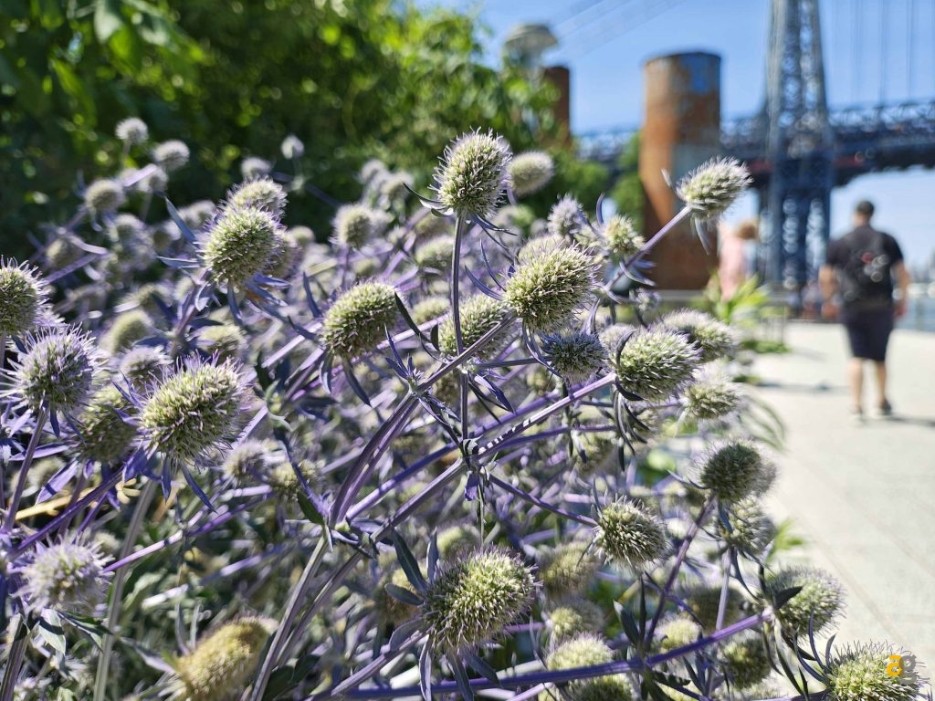 recensione-motorola-razr-50-ultra