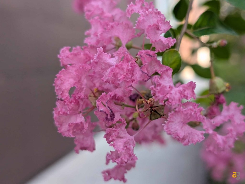 recensione-google-pixel-9