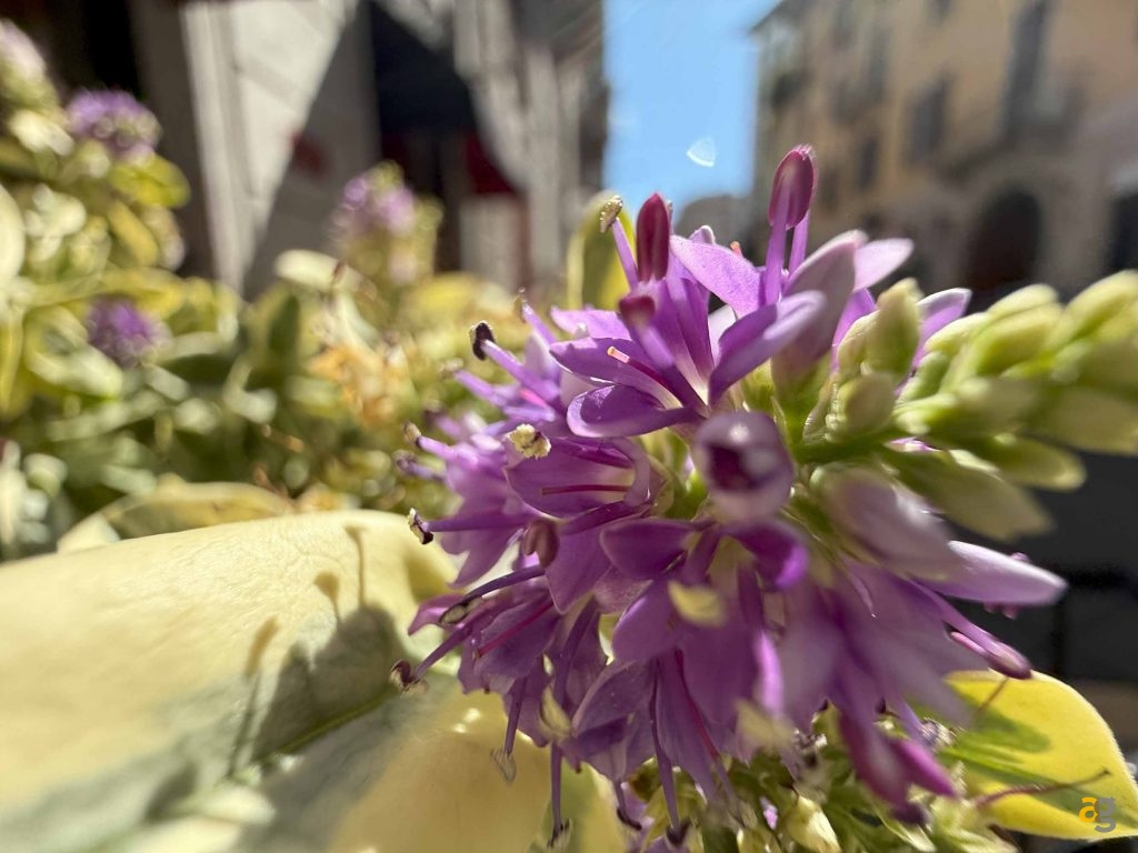 recensione-apple-iphone-16-pro