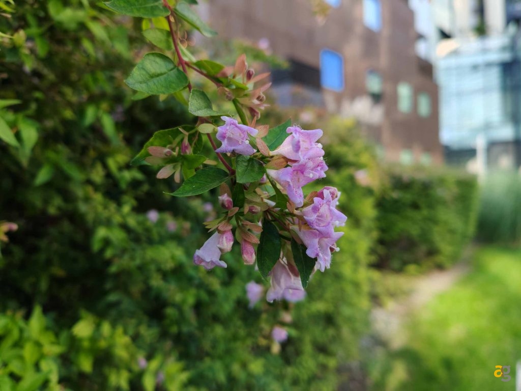 che-smartphone-comprare-tra-250-e-399-euro-confronto-medi-gamma