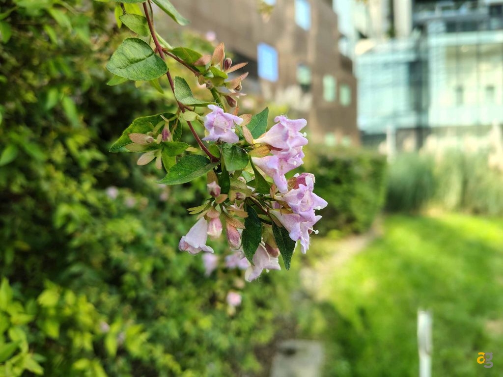 che-smartphone-comprare-tra-250-e-399-euro-confronto-medi-gamma