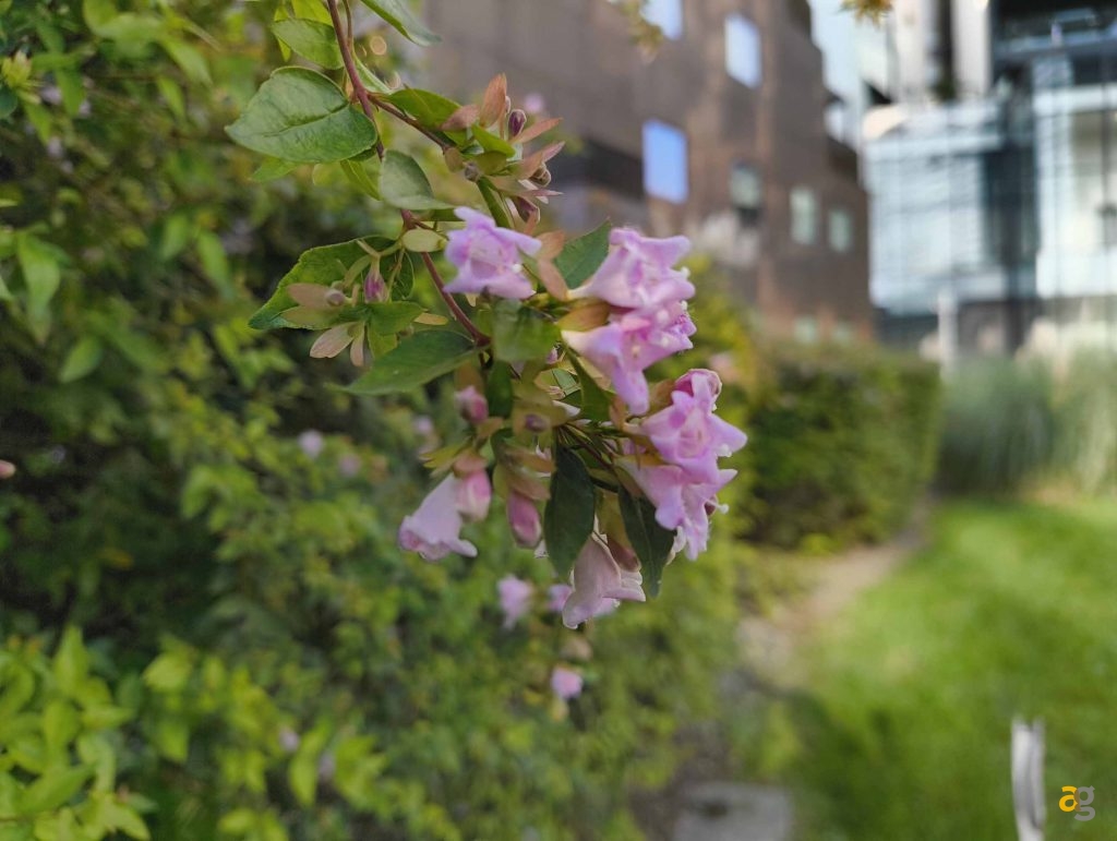 che-smartphone-comprare-tra-250-e-399-euro-confronto-medi-gamma