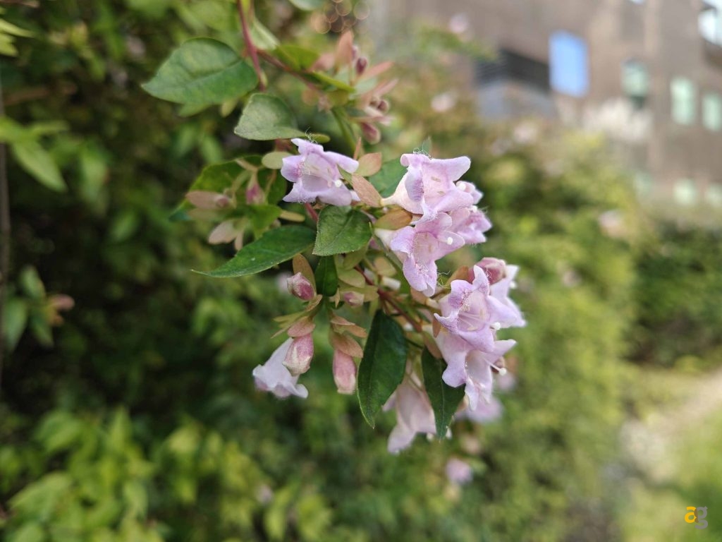 che-smartphone-comprare-tra-250-e-399-euro-confronto-medi-gamma