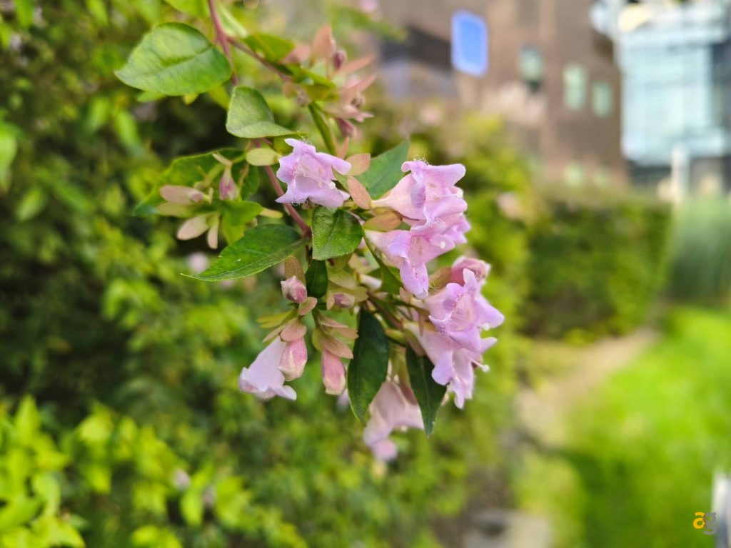 che-smartphone-comprare-tra-250-e-399-euro-confronto-medi-gamma