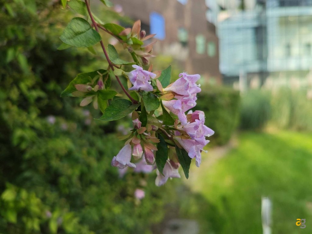 che-smartphone-comprare-tra-250-e-399-euro-confronto-medi-gamma