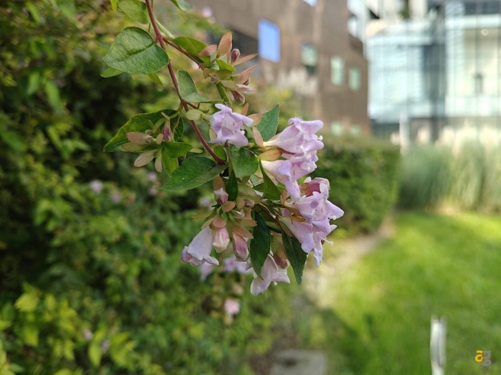 che-smartphone-comprare-tra-250-e-399-euro-confronto-medi-gamma