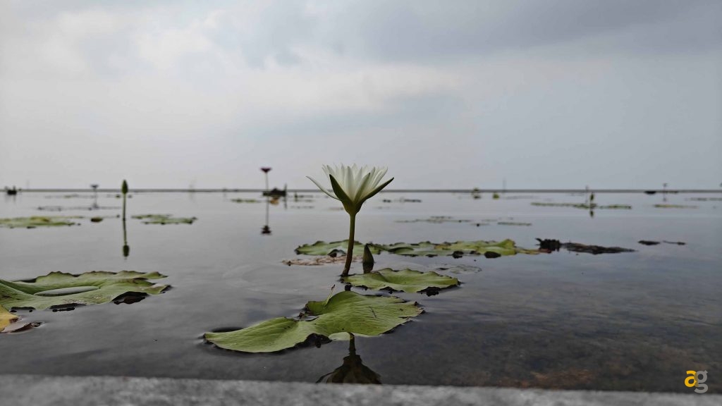 recensione-realme-gt7-pro