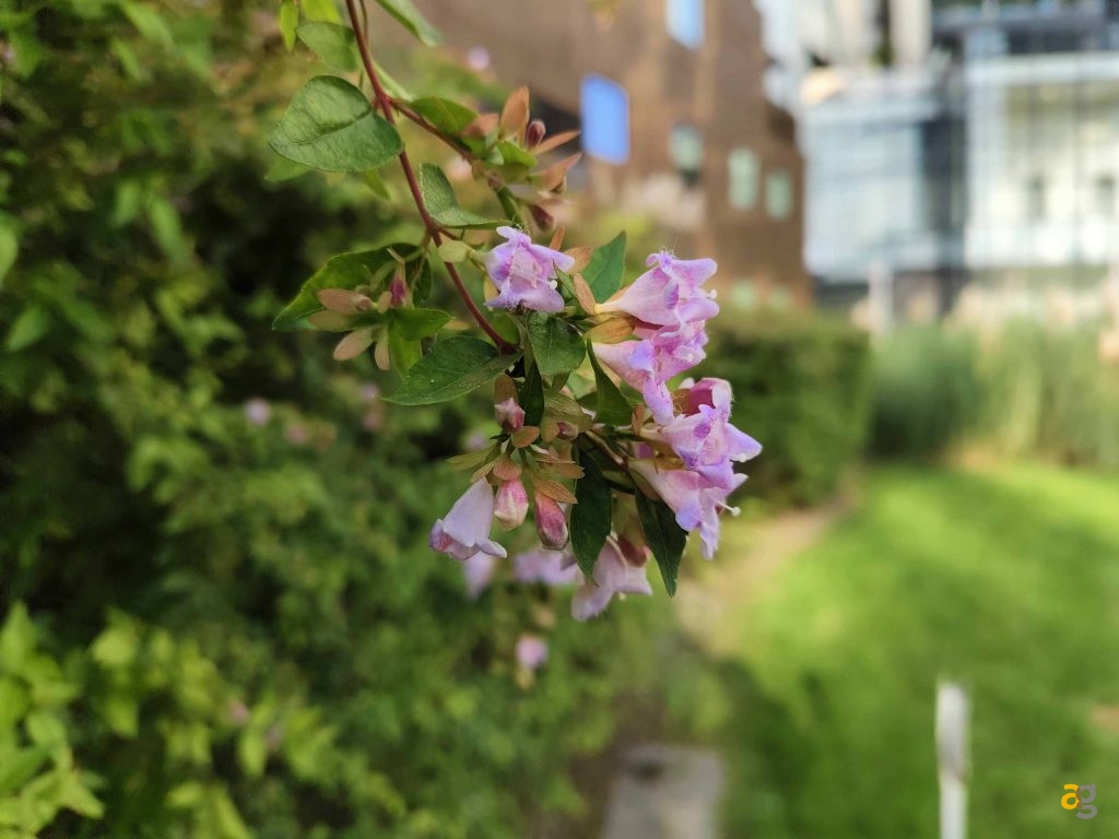 che-smartphone-comprare-tra-250-e-399-euro-confronto-medi-gamma