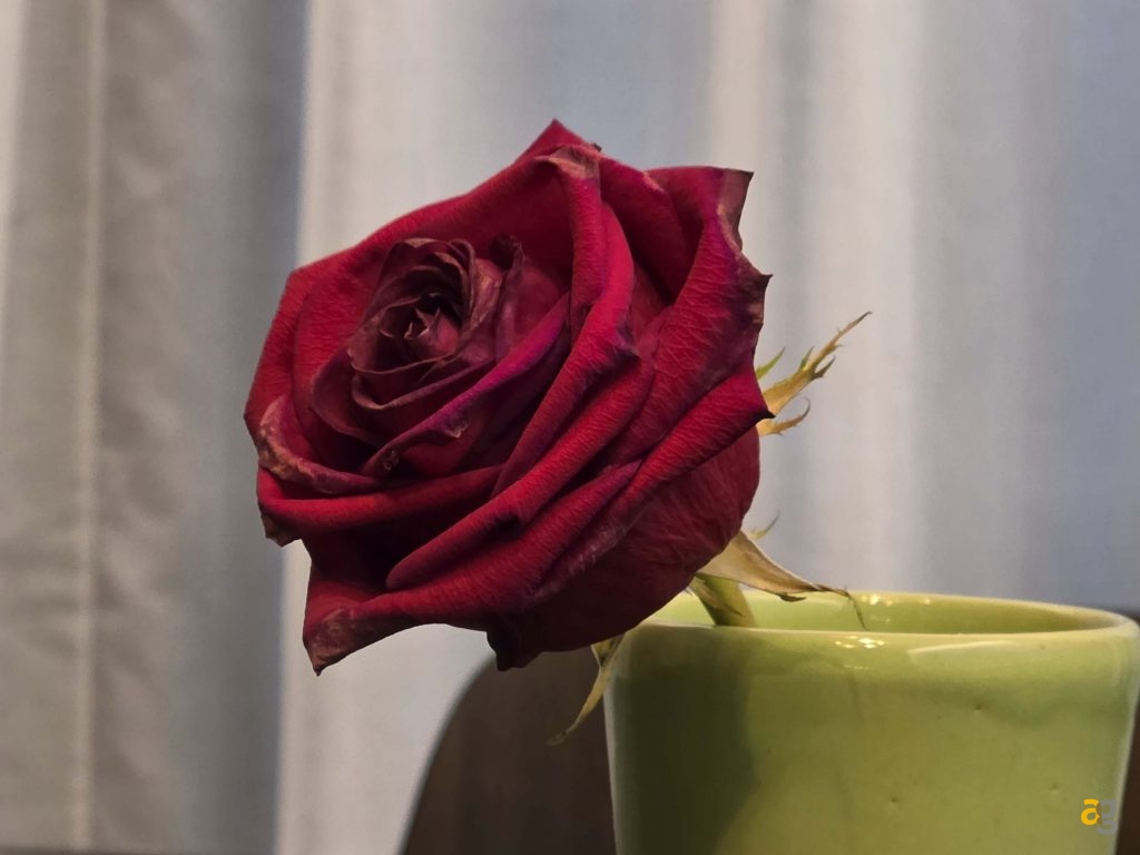 recensione-samsung-galaxy-s25-ultra