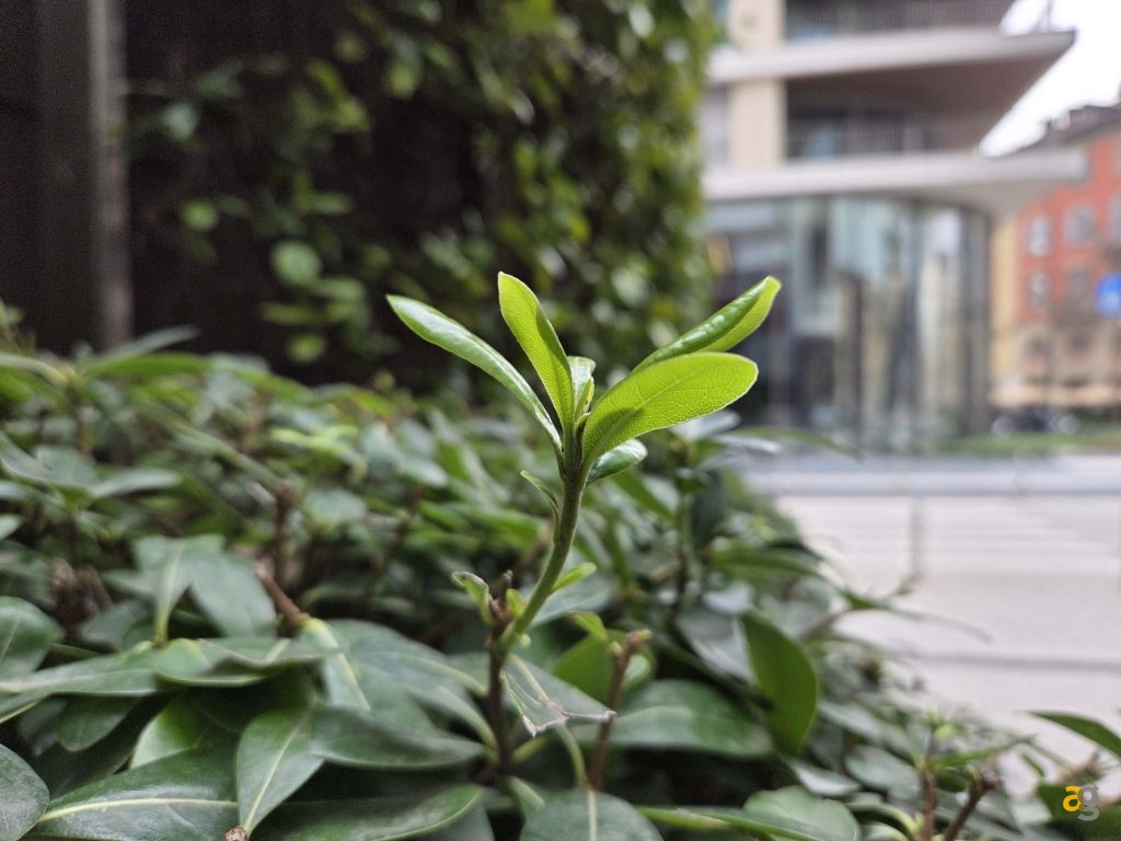 recensione-samsung-galaxy-s25